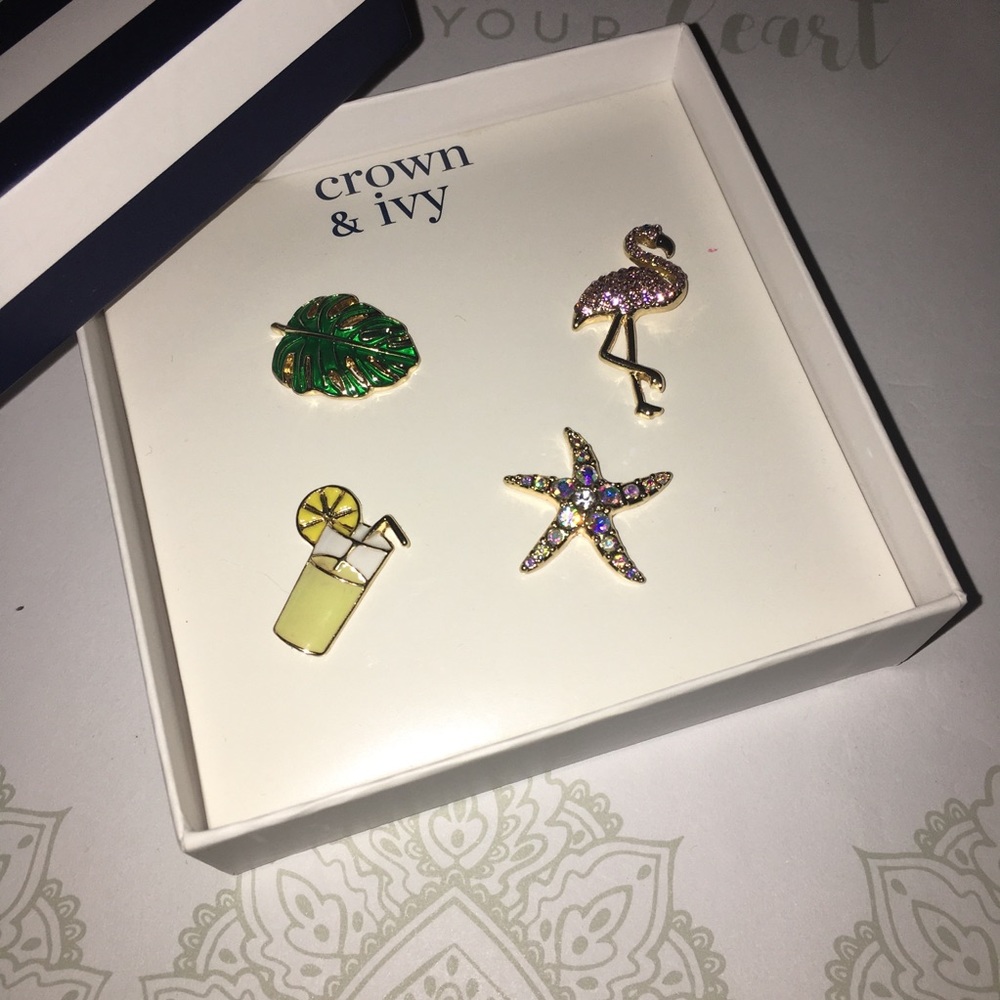 NWT CROWN & IVY BOXED SUMMER FUN STICKPIN SET